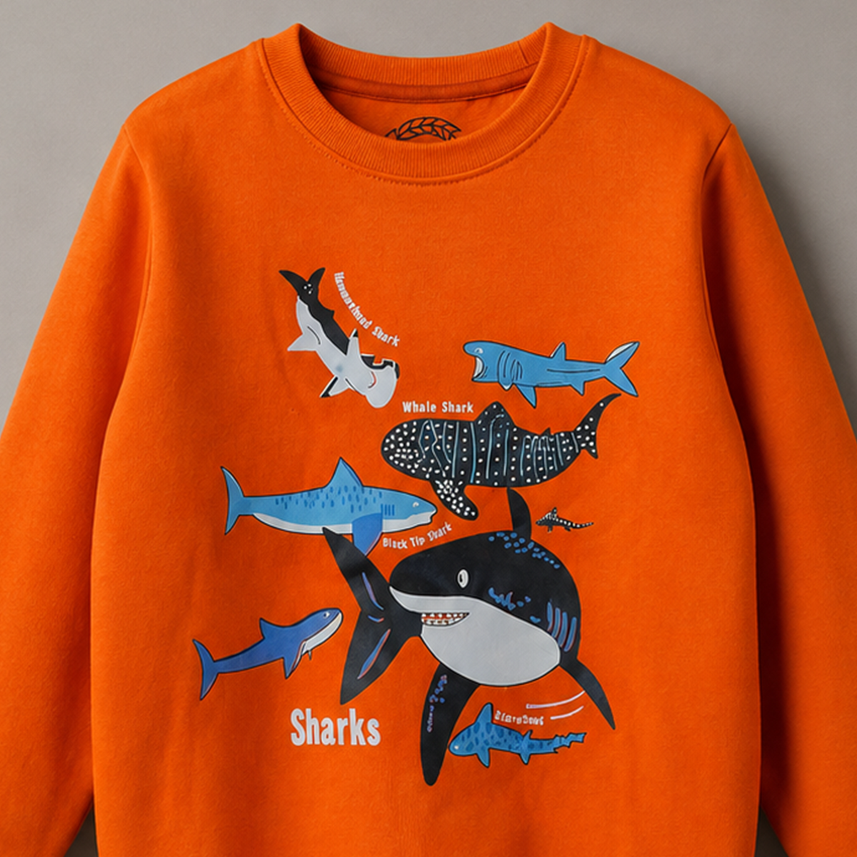 Boys Sweatshirt
