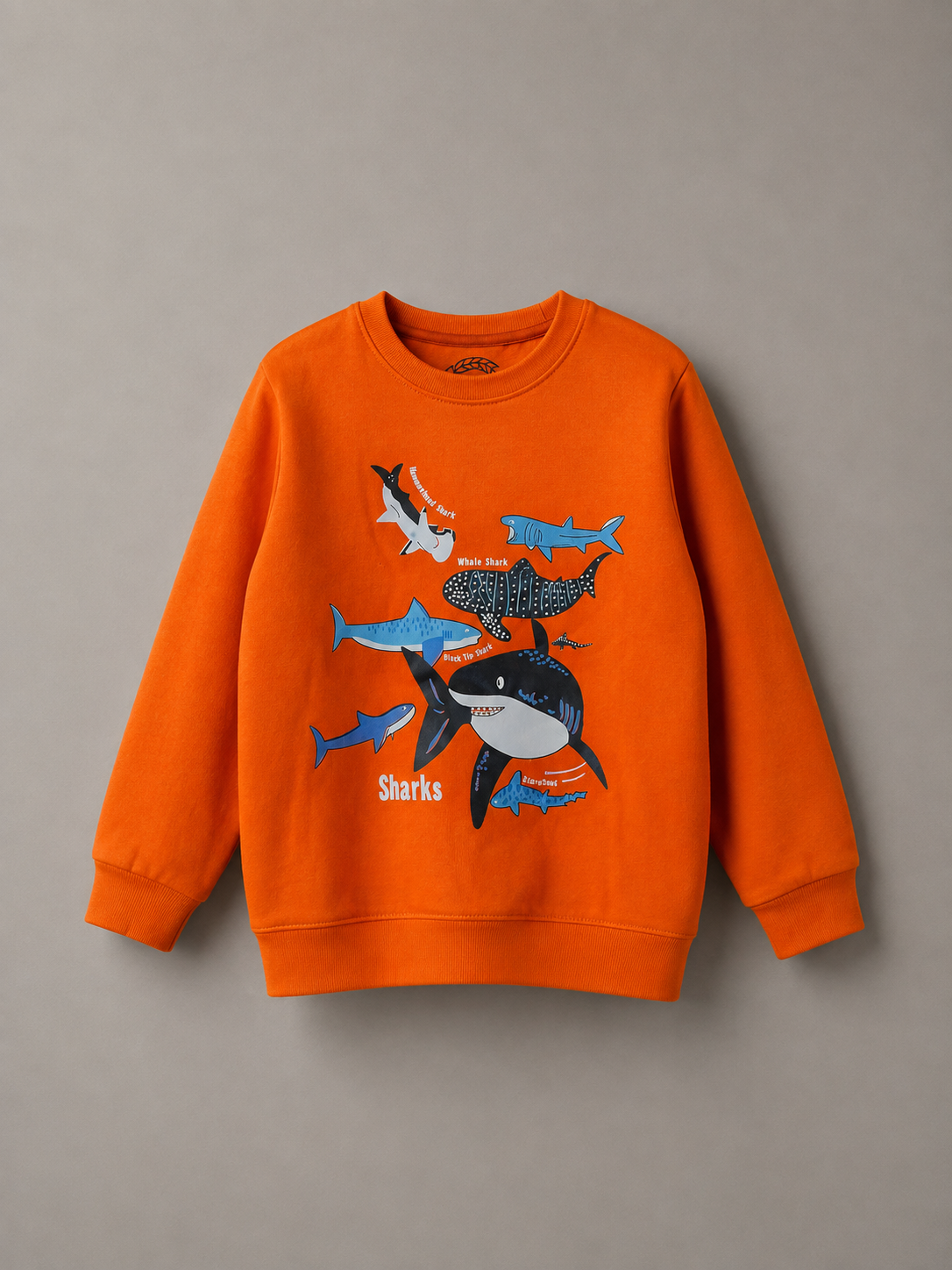 Boys Sweat Shirts