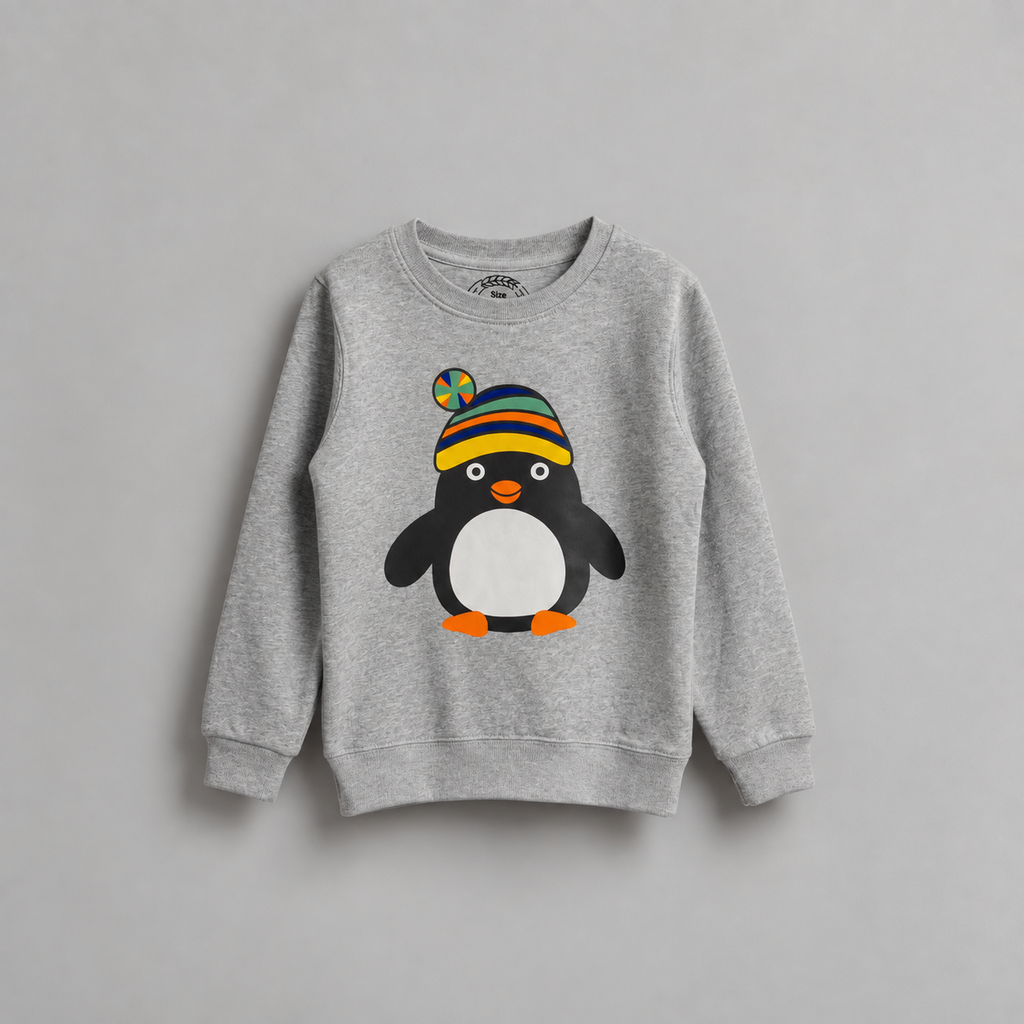 Boys Sweatshirt