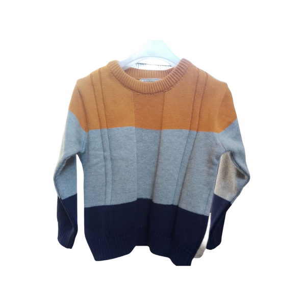 Boys sweater -Mustered Color