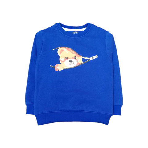 Boys sweat shirt-blu Color